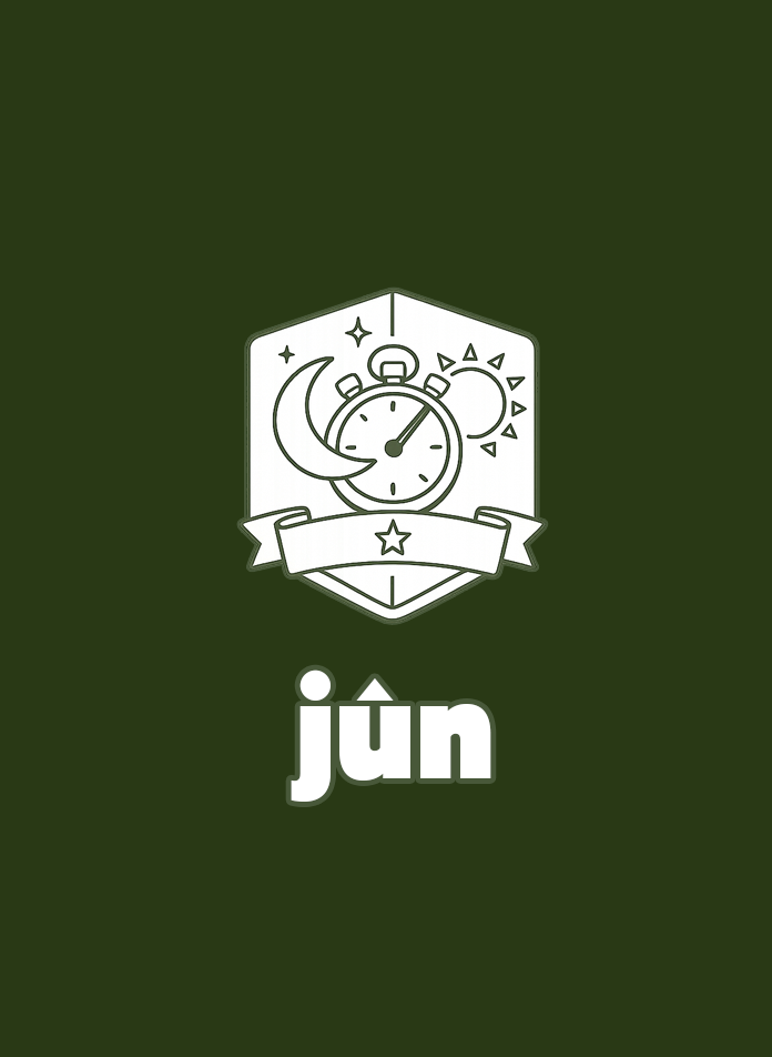 logo-chat-gpt-jun-app-jeune-logotype